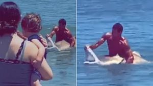 Vídeo mostra momento em que homem captura e abre a boca de tubarão com as próprias mãos