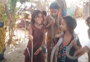 Vídeo mostra crianças brincando com cobras venenosas que foram dadas como presente de casamento