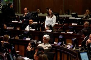 Ana Galarza fue destituida de la Asamblea Nacional
