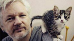 Julian Assange es un "terrorista cibernético", según Lenín Moreno
