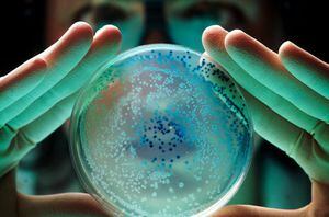 La poderosa bacteria que sobrevivió seis años en el espacio