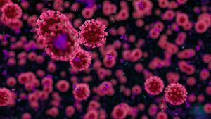 Coronavirus: Francia descubre nueva cepa del SARS-CoV-2 más contagiosa