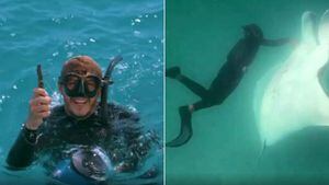 Gravam momento impressionante em que raia gigante pede ajuda para mergulhador: 'Ela sabia exatamente o que estava acontecendo'