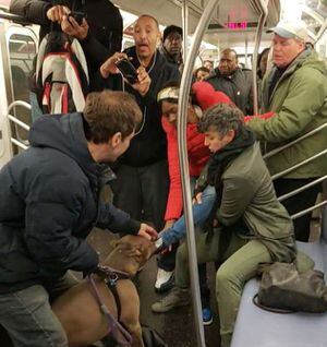 Impactante registro: graban el terrorífico momento en que pitbull ataca a pasajera en el Metro de Nueva York