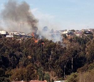 Incendio en Valparaíso: Onemi decreta evacuación de zonas aledañas a Rodelillo por incendio forestal