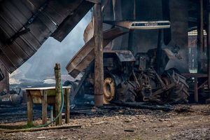 Ataque incendiario en Río Negro: queman 10 máquinas de forestal Anchile