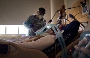 Salud reporta 6 muertes adicionales por COVID-19