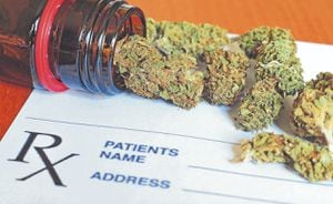 Reparos con reglamento sobre cannabis medicinal