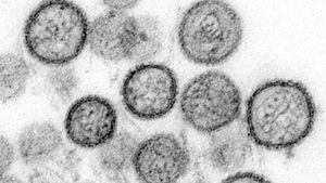 Brasil: Se reporta primera muerte por arenavirus en más de 20 años