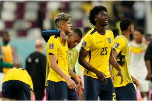 Así dejó Ecuador el Mundial de Qatar ¿Qué harán ahora los jugadores?