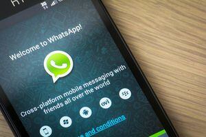 Estos son los nuevos términos y condiciones para usuarios de WhatsApp que nadie leyó