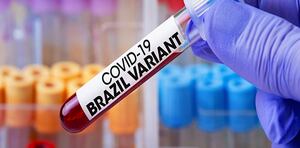 Científicos descubren una nueva variante del coronavirus en Brasil. ¿Más infecciosa?