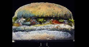 Rede de fast food apresenta hambúrguer em decomposição para mostrar lanche sem conservantes