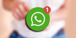 WhatsApp y la OMS lanzan una nueva colección de stickers para estar "juntos en casa"
