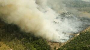 (Video) Estas son las imágenes reales del incendio en el Amazonas