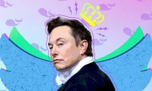 Todos los cambios que Elon Musk ha hecho en Twitter desde su llegada