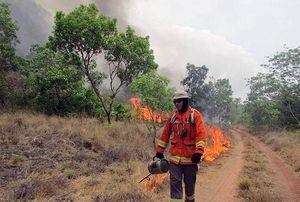 Brasil despliega a 44.000 militares para combatir incendios en la Amazonía