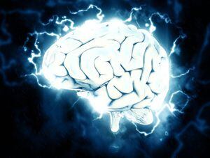 Función cerebral que identificaban como "ruido de fondo" es fundamental para conexiones neurales
