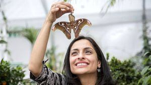 Blanca Huertas, la colombiana que resguarda en Londres la colección más grande y antigua de mariposas del mundo
