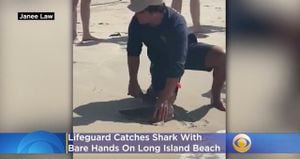 Vídeo mostra homem capturando tubarão com as mãos em praia nos Estados Unidos