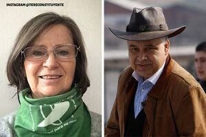 Teresa Valdés y Aldo Duque : los candidatos a la Convención Constituyente que no fueron