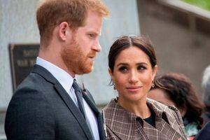 Meghan y Harry fueron criticados por usar logotipo con corona