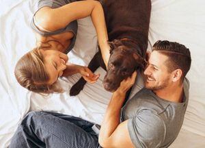 Lucirás más joven y tu vida puede ser más duradera si tienes un perro en casa: lo indica un estudio