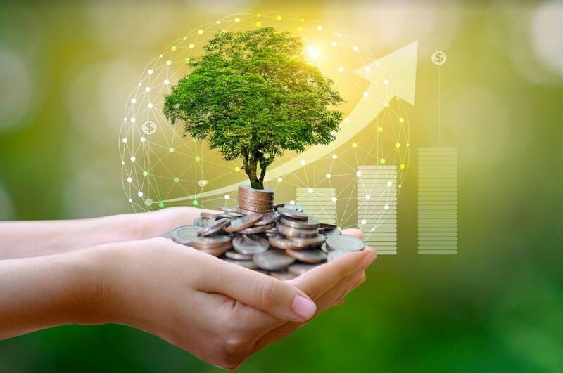 Dinero sostenible planeta