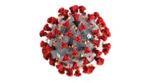 Confirman la primera muerte por coronavirus en Estados Unidos