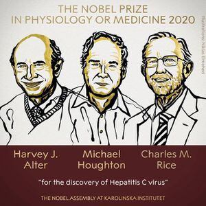 Nobel de Medicina premia a tres investigadores por el descubrimiento del virus de la hepatitis C