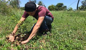 UPR Utuado gradúa a primeros estudiantes de Agricultura Sustentable