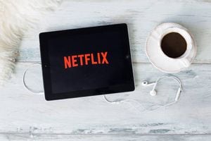 Netflix: estos son los estrenos de la plataforma para enero del 2021