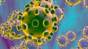 Coronavirus, el virus chino, ya habría llegado a México