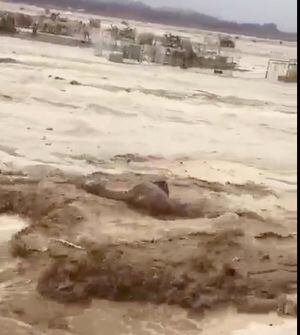 "¿Tomamos conciencia y hagamos algo?": el impresionante registro de las fuertes inundaciones que golpearon el desierto de Arabia Saudita