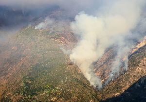 Incendio en cerro Casitagua: Una persona salió en libertad tras ser detenida