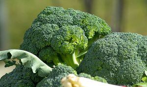 Estes são os 5 benefícios para a saúde de comer brócolis diariamente