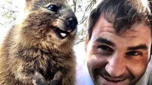 El selfie de Roger Federer con un quokka, "el animal más feliz del mundo", que ha puesto a sonreír a internet