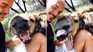 Vídeo de encontro entre jovem e hiena se torna viral nas redes sociais; 'Nenhum humano me cumprimentou com tanto amor e carinho'