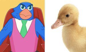 ¿Duelo de pájaros? Contralorito le mandó un recado al Pato del Banco Estado: "Hay que ser rigurosos"