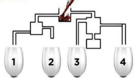 ¿Qué copa de vino se llenará primero? Resuelve este test en tiempo récord