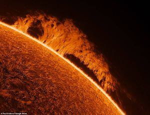 Sol: nuevas imágenes muestran cómo la superficie de la estrella está burbujeando