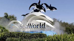 Reabren SeaWorld Orlando y Busch Gardens Tampa Bay tras meses cerrados