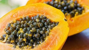 Semillas de papaya y jugo de toronja para bajar de peso
