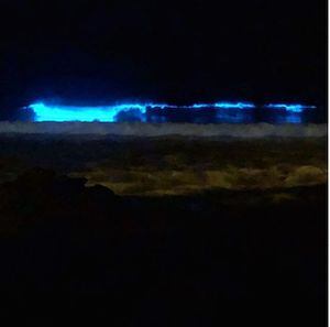 ¿Qué son esos destellos de luz en las playas de Ecuador?