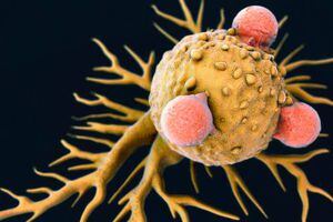 El descubrimiento que podría cambiar todo: el resfrío común podría ser la clave para encontrar la cura del cáncer