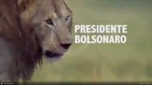 Em vídeo, Bolsonaro se compara a leão atacado por hienas do STF, PSL, PT e ONU