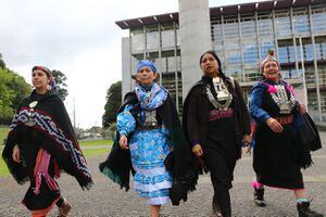 Caso Luchsinger Mackay: absuelven a machi Linconao y otros 10 imputados