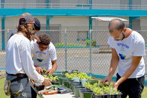 Plantel escolar se distingue con ‘’Proyecto Agroecológico Urbano’’