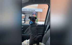 Vídeo de menino reencontrando cachorra perdida emociona e se torna viral nas redes sociais