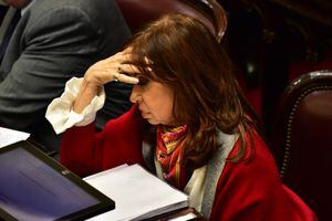 Sin miedo y sin temor: califican a Cristina Fernández como "Ladrona de la Nación Argentina"